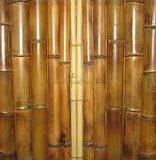 bambukovye-stvoly
